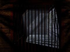 Drug Dealer Under House Arrest, Walid Chaabani, Begs For Jail Time To Escape Nagging Wife